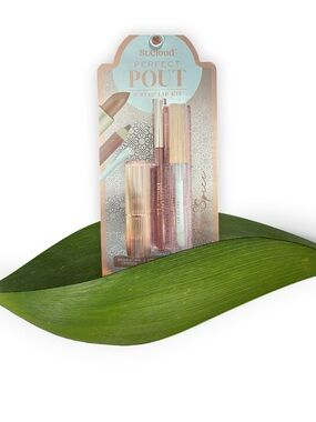 Perfect Pout 3-Step Lip Kit - Rose/Nude